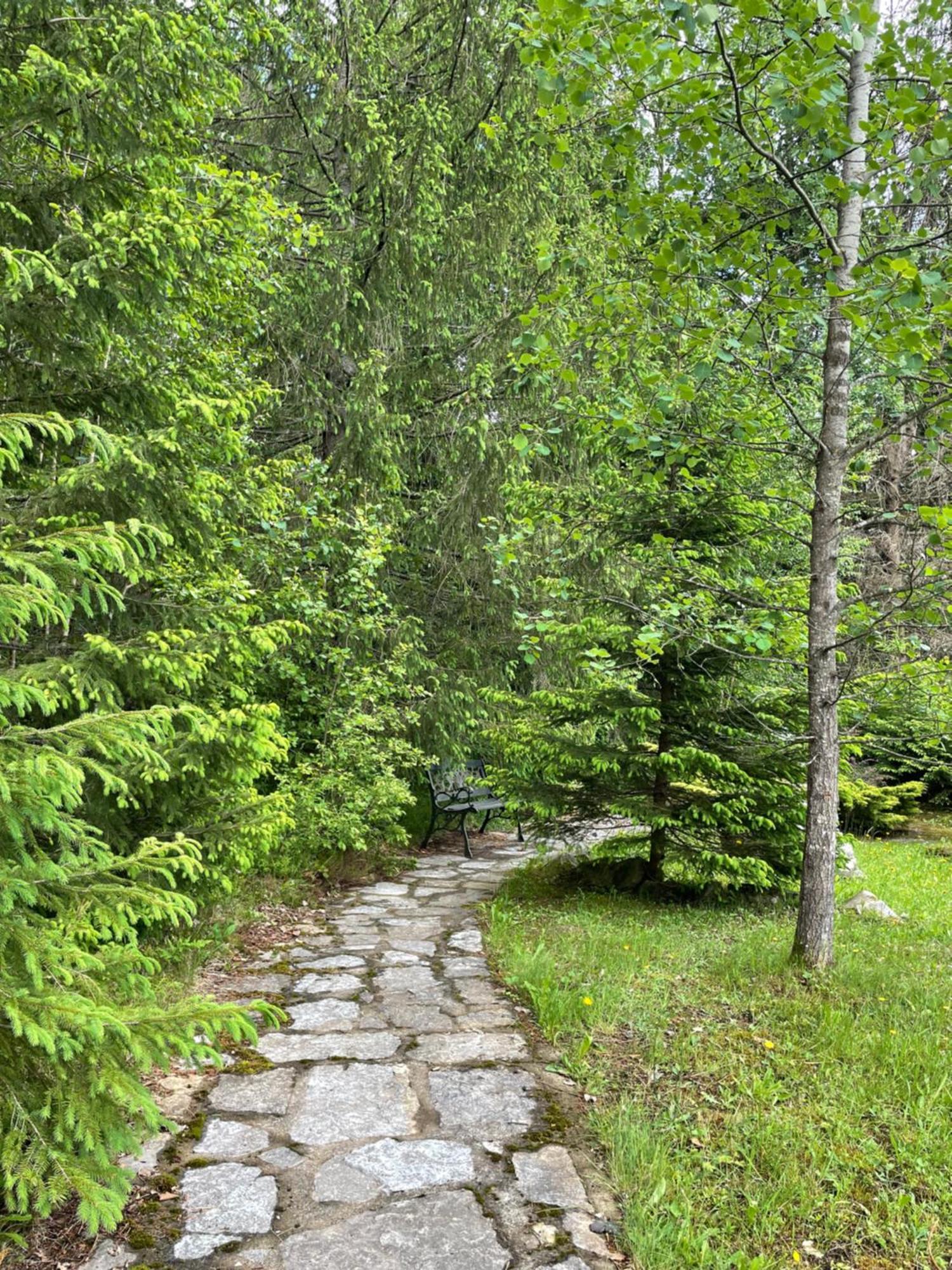 Relaxation In Guta Гута Покращене Шале ภายนอก รูปภาพ